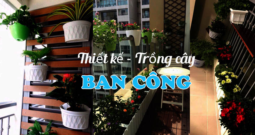 Trồng cây ban công